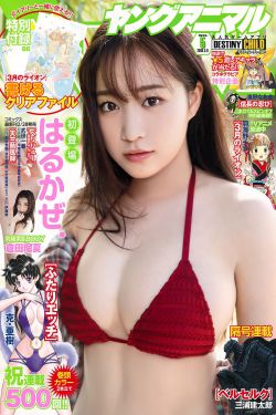 纵横四海小说